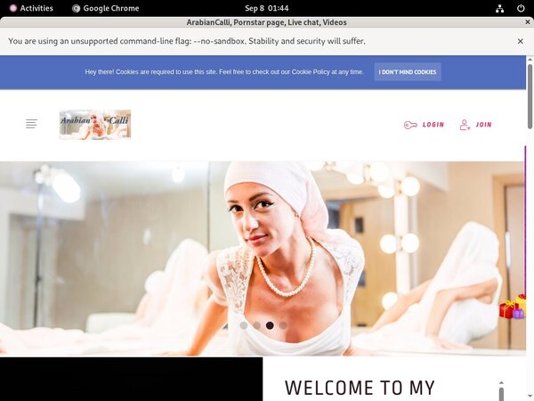 ArabianCalli Discount (SAVE 50%)