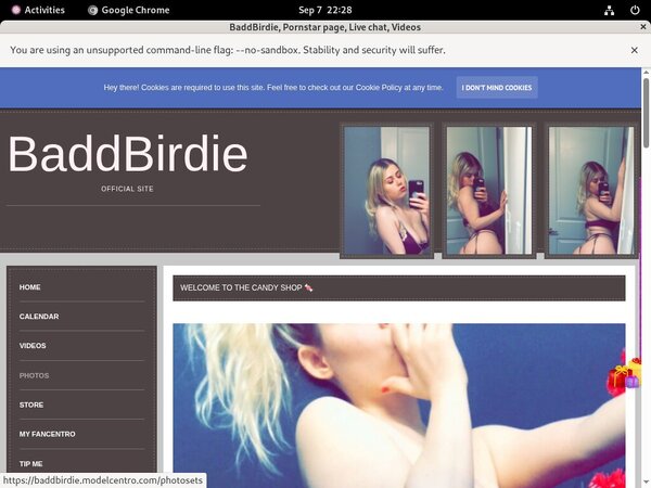 BaddBirdie Discount Url