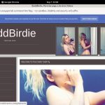 BaddBirdie Hd Sex Videos