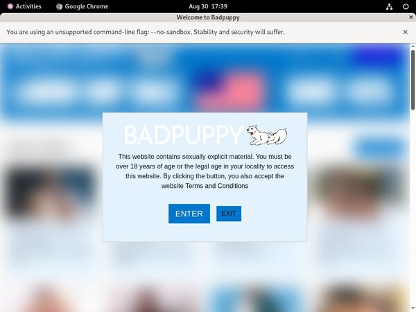 Badpuppy.com Massage