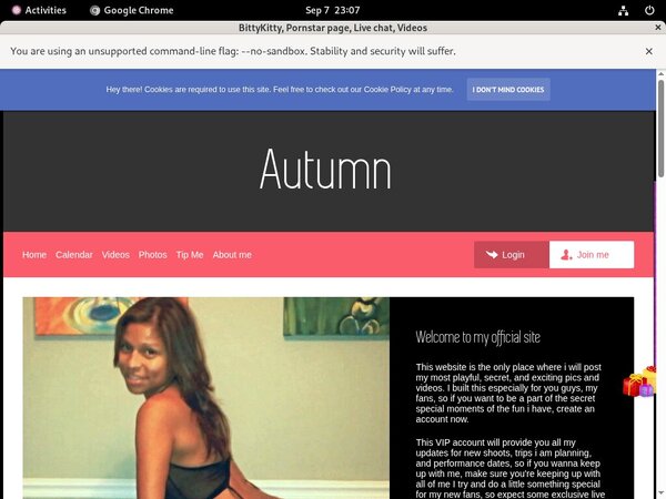 BittyKitty With Paysafecard