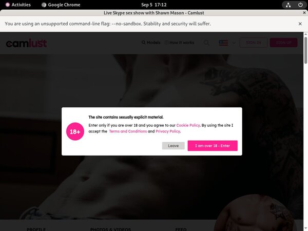 Camlust.com Gay Sex
