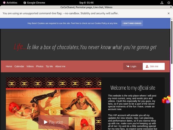 Cocochanel.modelcentro.com Sample