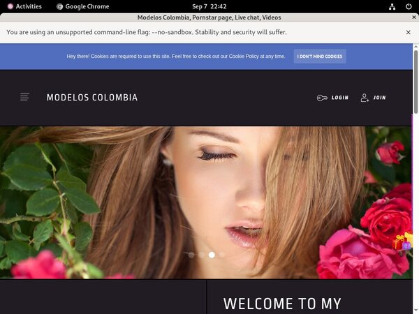 Colombia Modelos Premium Password