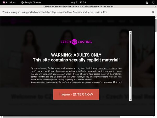 Czech VR Casting Passwords Free