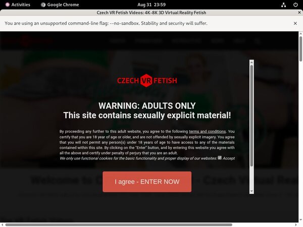 Czech VR Fetish Girls