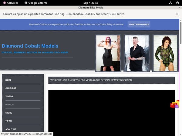 DiamondDivaMedia Daily Passwords