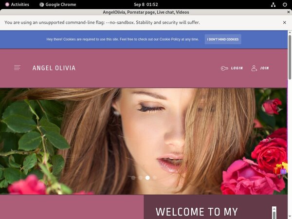 Discount AngelOlivia Com