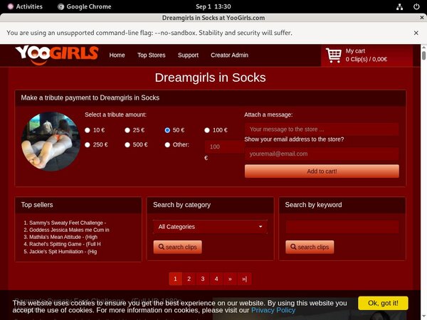DreamgirlsInSocks Site Passwords