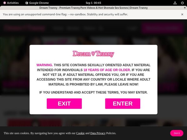 Dreamtranny.com Discount Page
