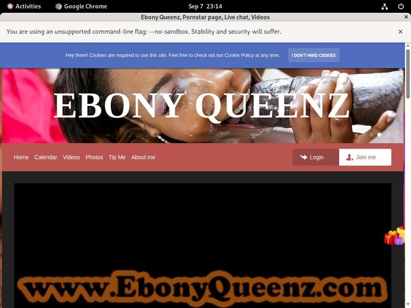 Ebonyqueenz.modelcentro.com Mobile Passwords