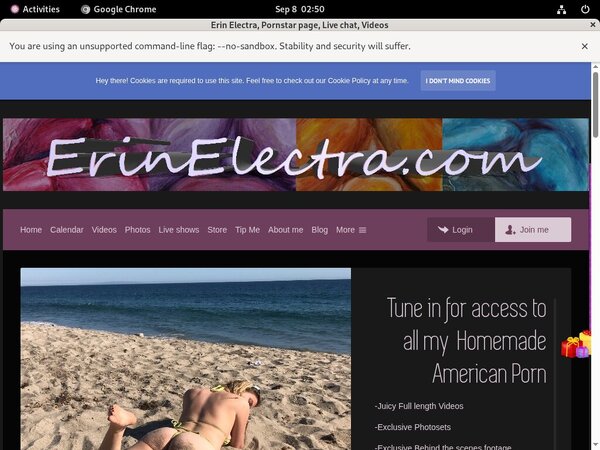 Erinelectra.com Website