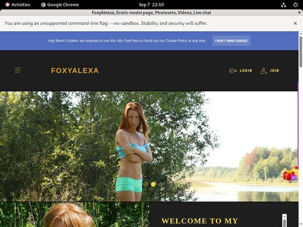 FoxyAleksa With IBAN / BIC Code