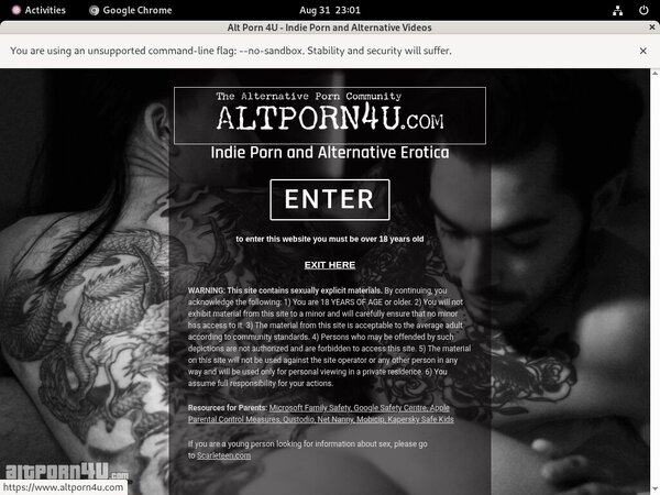 Free Alt Porn 4 U Premium Account