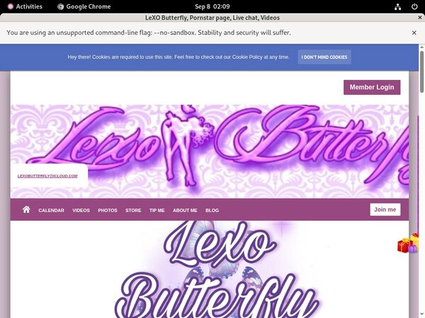 Free LeXO Butterfly Passwords