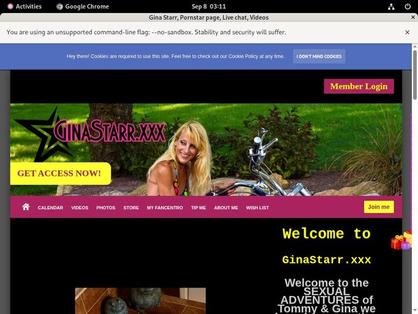 Free Logins Xxx Ginastarr