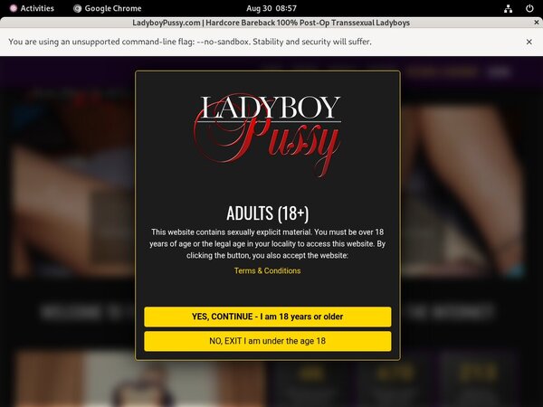 Free New Ladyboy Pussy