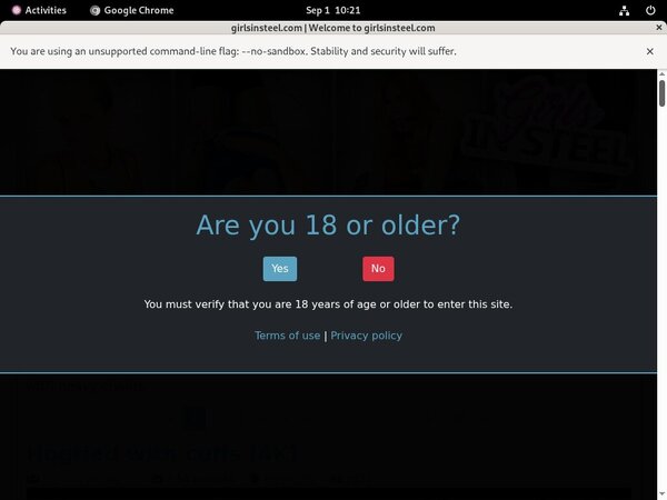 Free Passwords Girlsinsteel