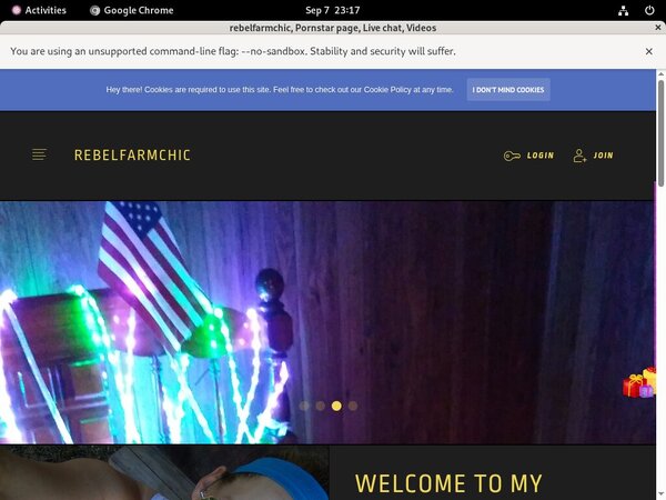 Free Rebelfarmchic.modelcentro.com Account Passwords