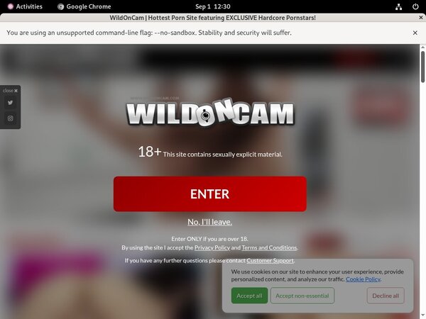 Free Wild On Cam Logins 2018