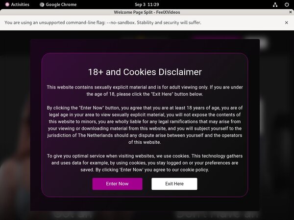 Free Working Feelxvideos Accounts