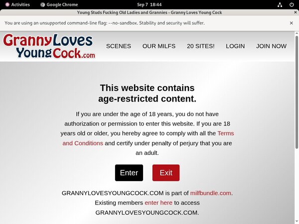 Freies Grannylovesyoungcock