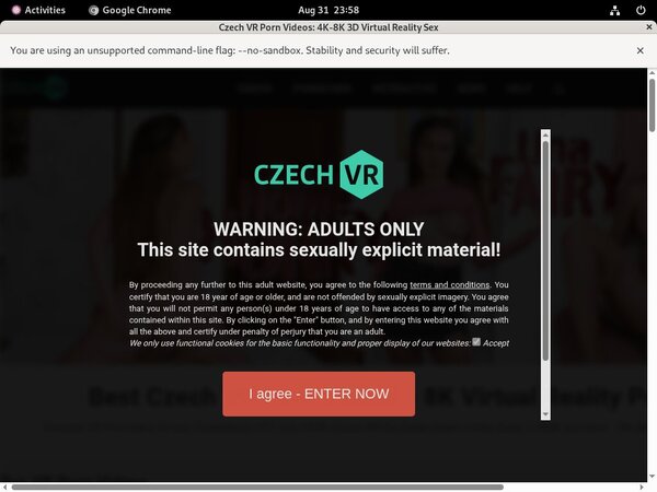 Get Czech VR Day Trial