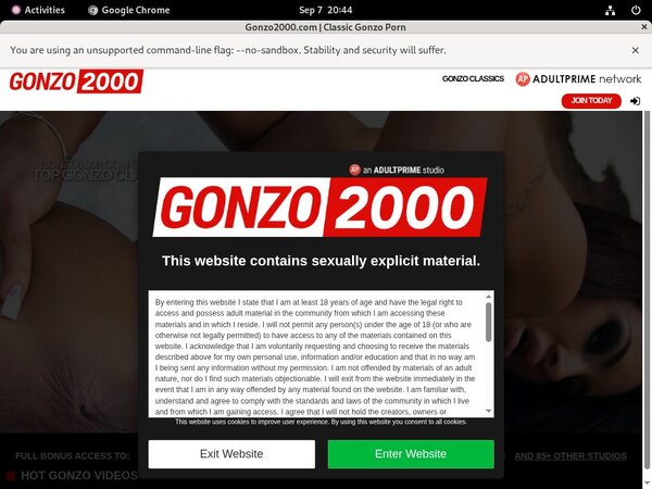 Gonzo2000.com Porn Stars