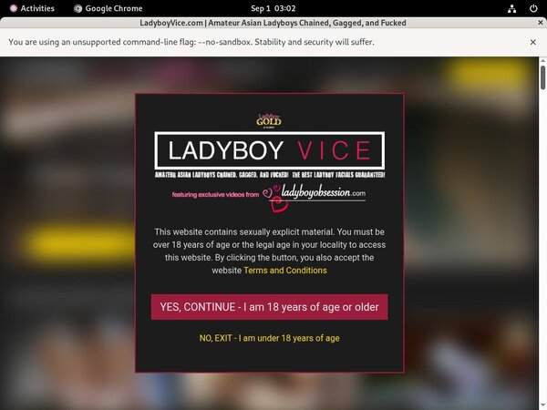 Ladyboy Vice Discount Access
