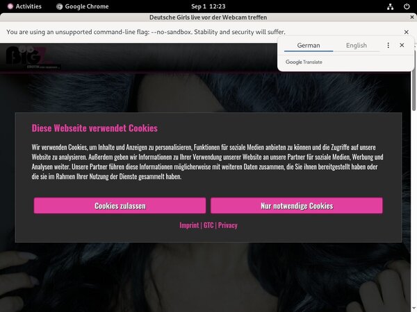 LanaGiselle Adult Passwords