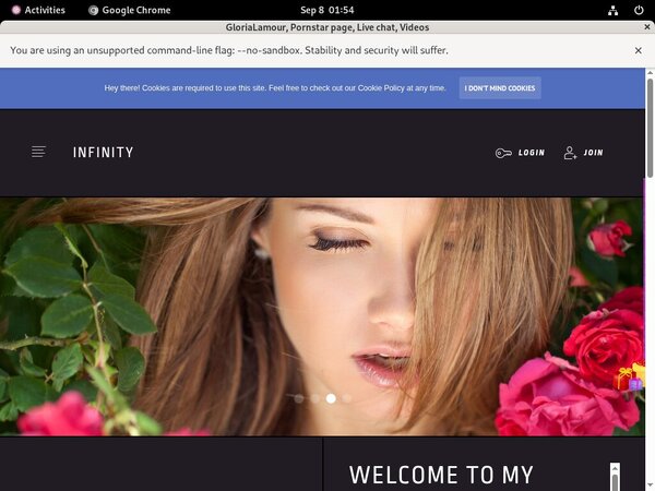 Login Therealglorialamour.modelcentro.com