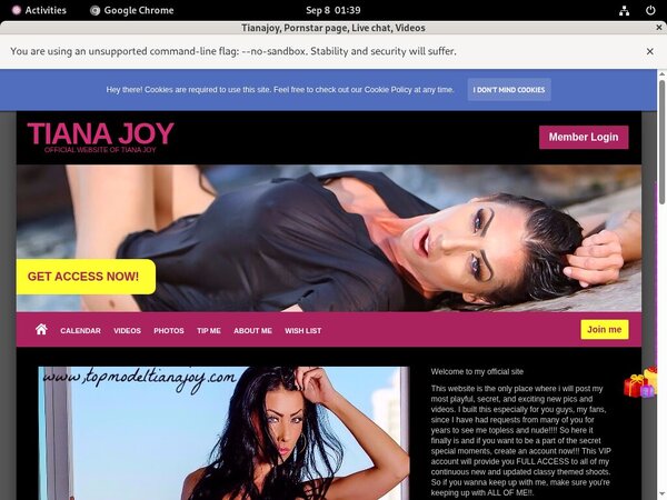 Logins For Tianajoy.modelcentro.com