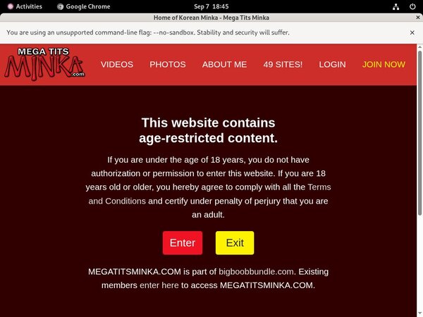 Megatitsminka.com Promo Deal