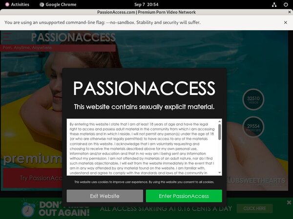 Passion Access Strapon