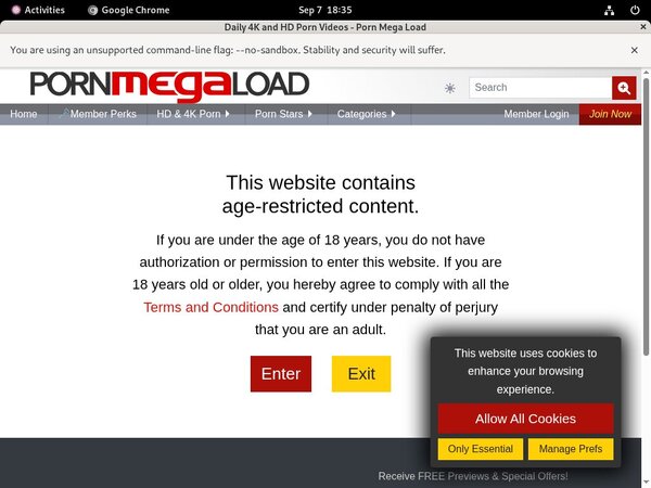 Pornmegaload Lower Price