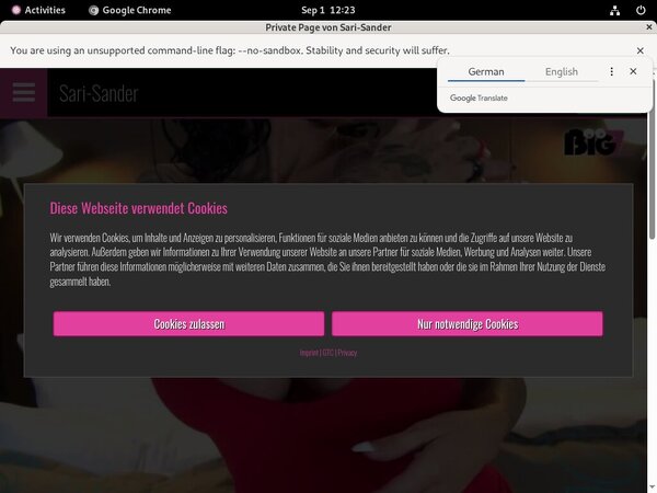 Sari-sander.com Episodes