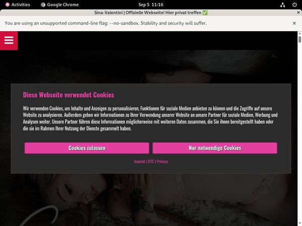 Sina Valentini Mobile Passwords