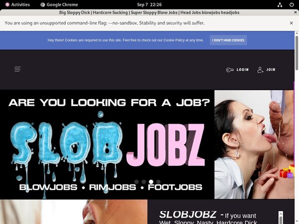 Slobjobz Passwords 2017
