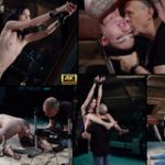 Subspace Land Live Cams