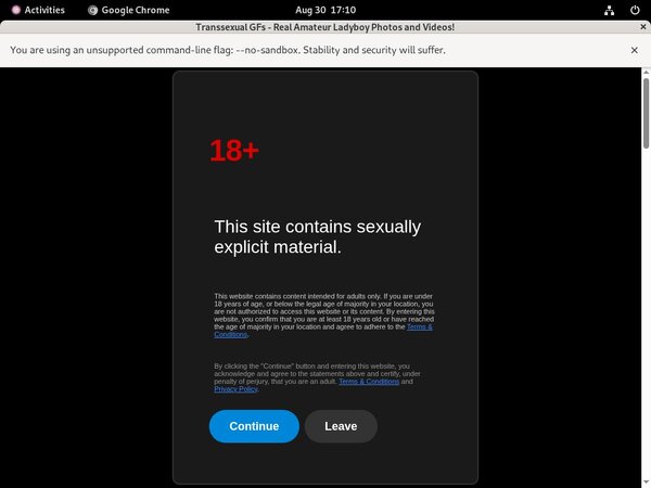 Transsexualgfs.com Tube