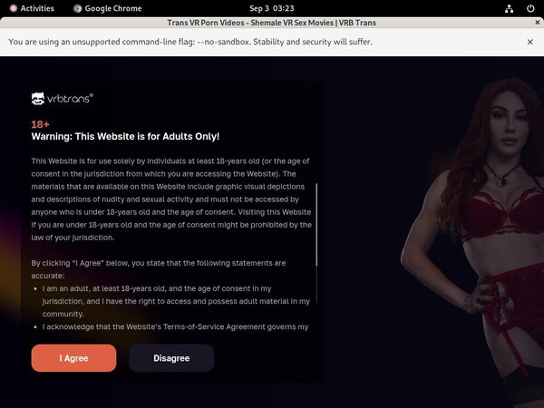 VRB Trans Shemale Vr Sex