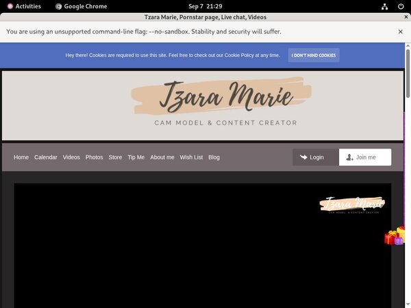 What Is Tzara Marie