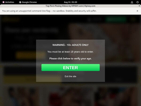 What Is Vipissy.com What Is Vipissy.com