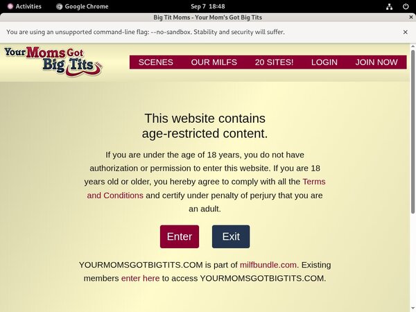 Yourmomsgotbigtits Paysite Passwords