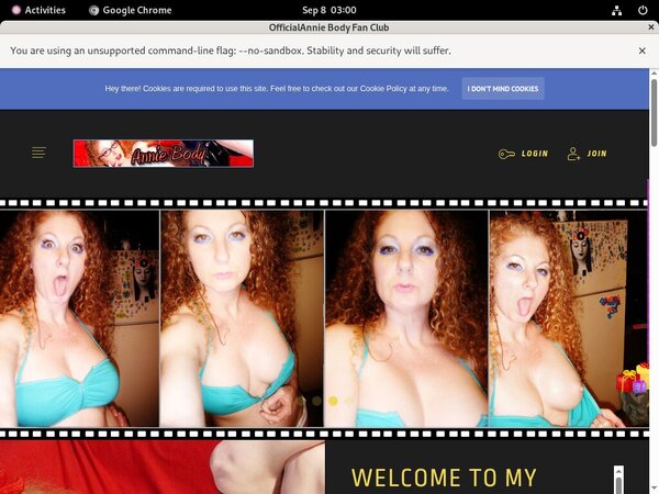 Acc For AnnieBody Acc For AnnieBody
