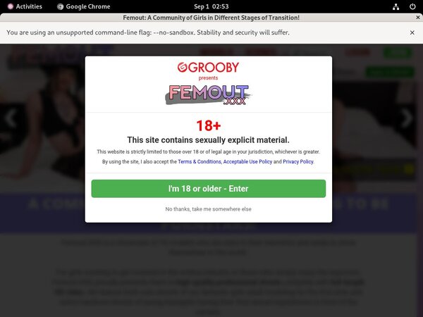 Femout Accounts And Password