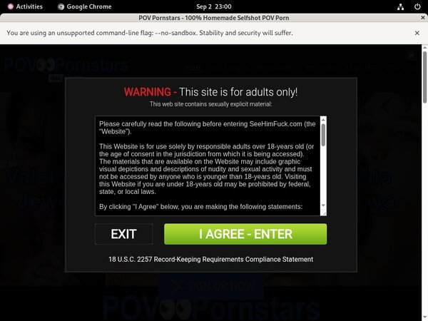 Free POV Pornstars Username And Password