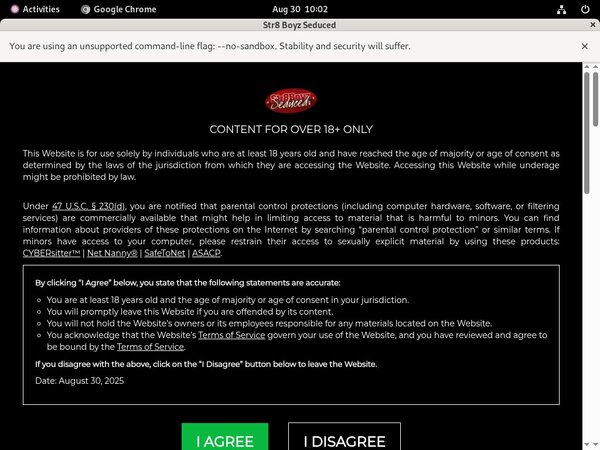 Membership To Str8boyzseduced.com