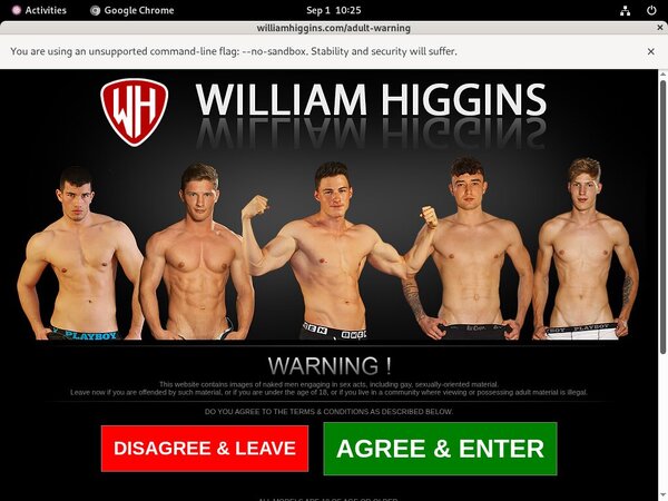 William Higgins Gallery