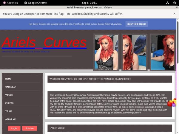 Free Ariel Discounts